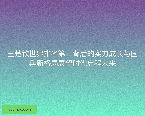 王楚钦世界排名第二背后的实力成长与国乒新格局展望时代启程未来
